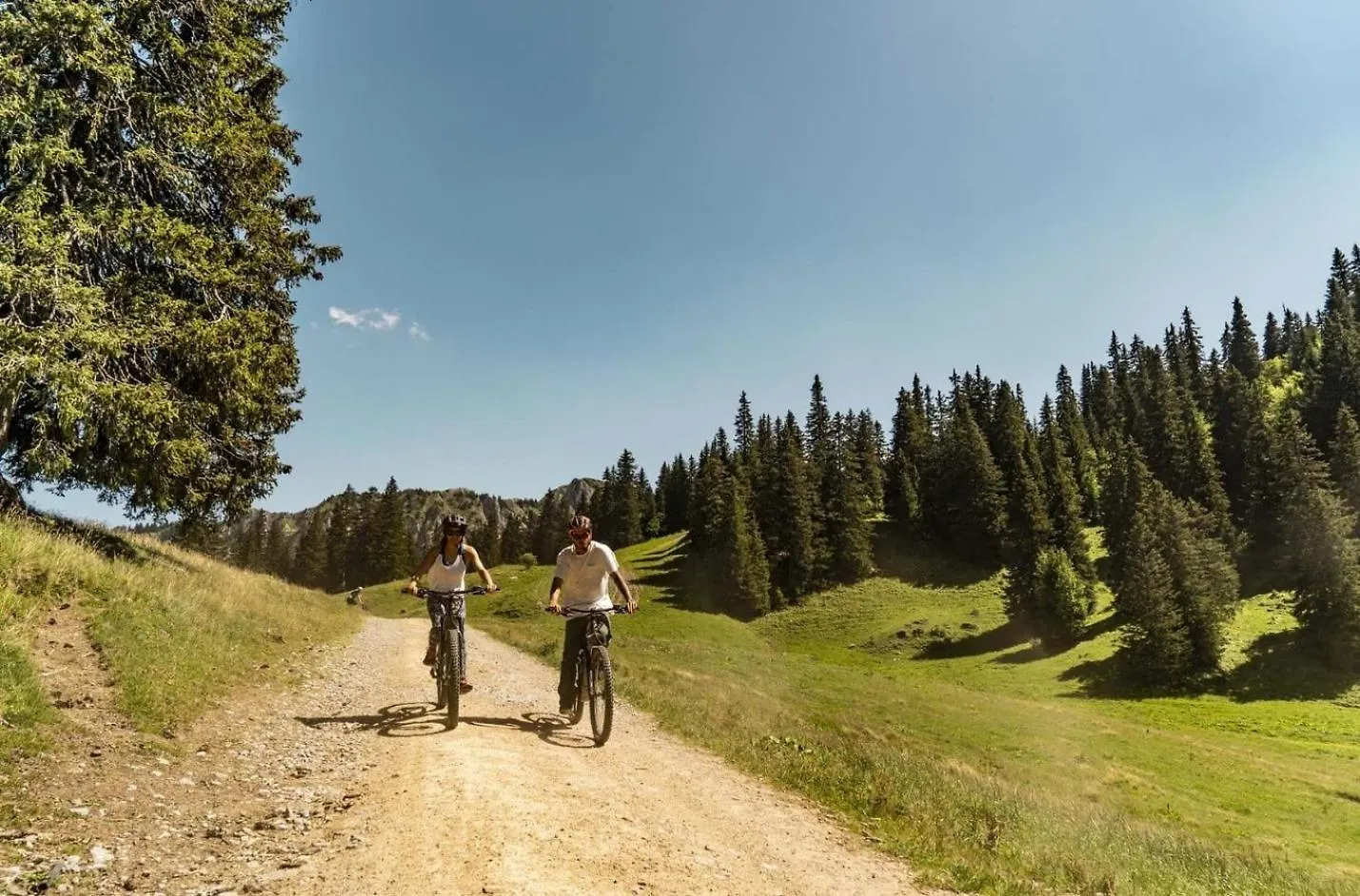 Alpenlake Ap120 View & Nature 5 Pers Chatel 0*,  France