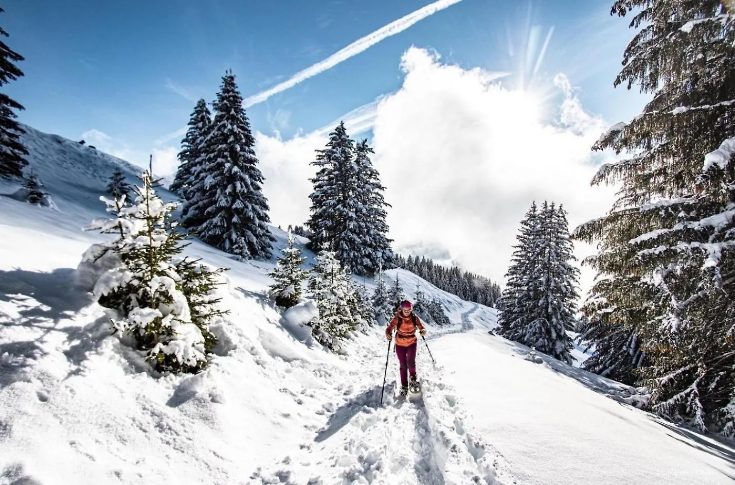 Apartment Alpenlake Ap120 View & Nature 5 Pers Chatel